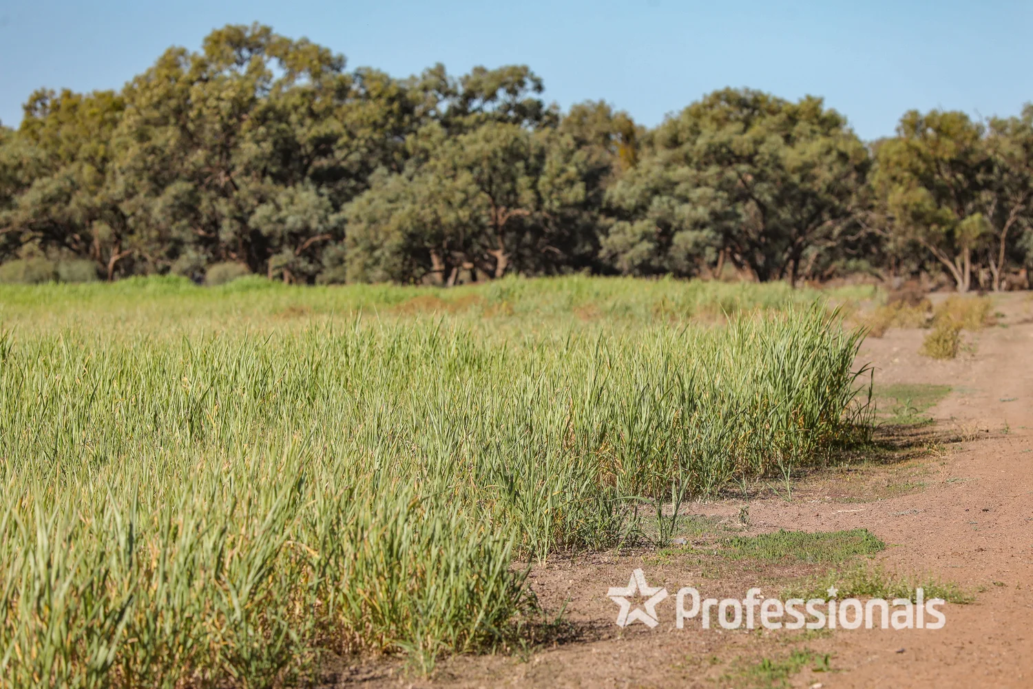 Additional image 18 of 179 Cowra Station Road, Wargan VIC 3505