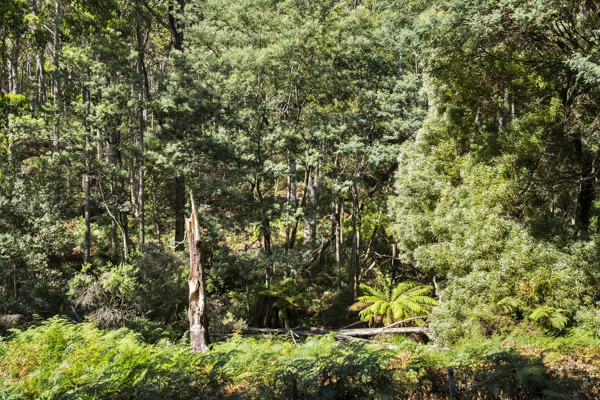 Additional image 8 of 44 Coppings Road & 729 Nubeena Road, Premaydena TAS 7185