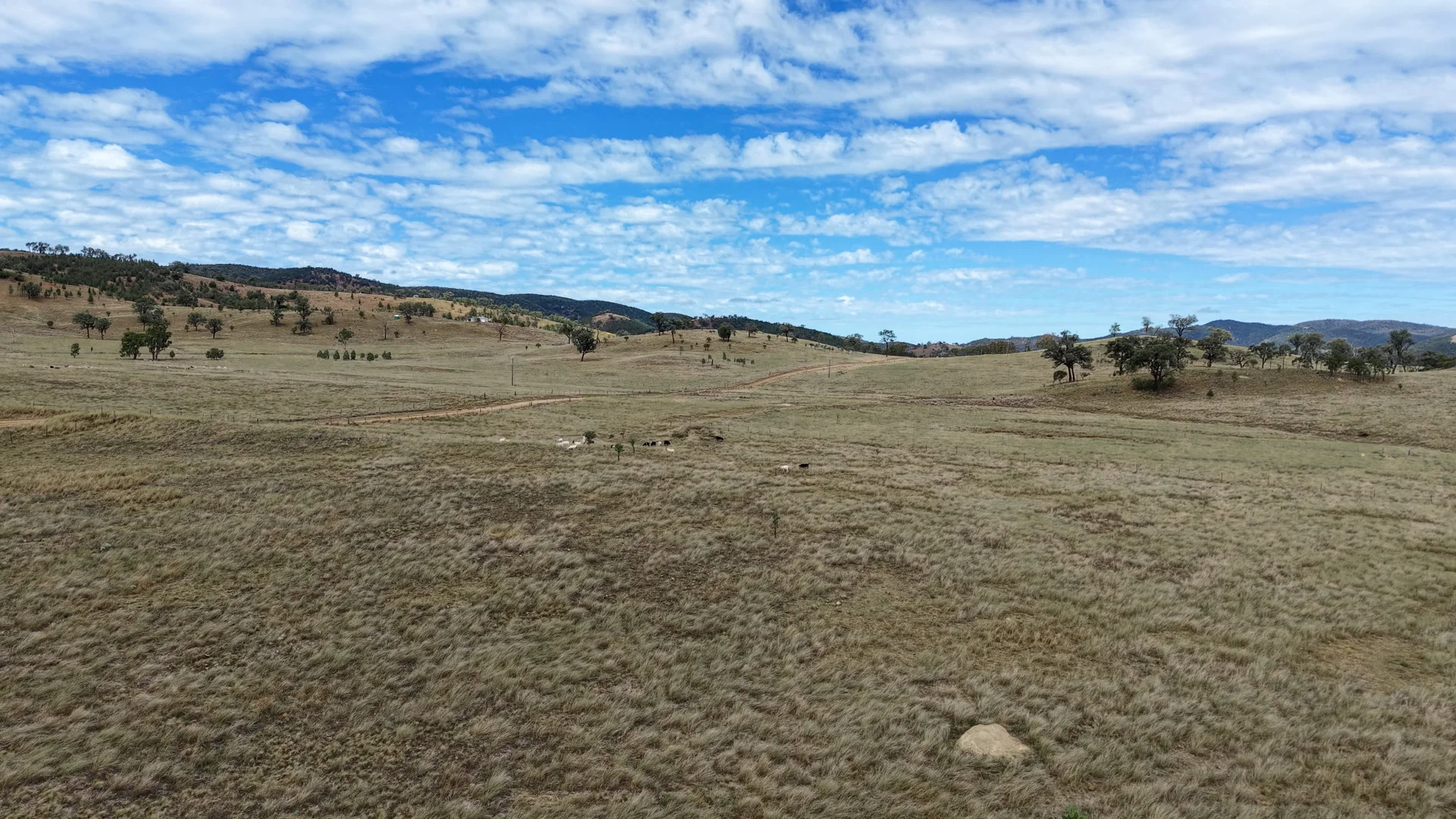 Additional image 13 of 1213 Mole River Road, Tenterfield NSW 2372