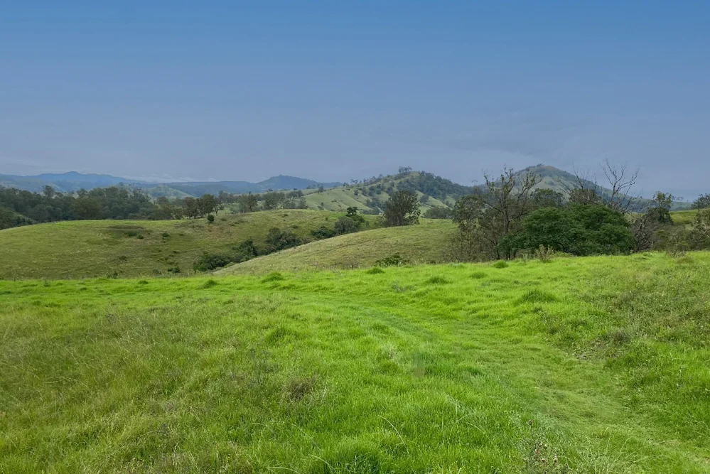 Additional image 11 of 1644 Paterson River Road, Lostock NSW 2311