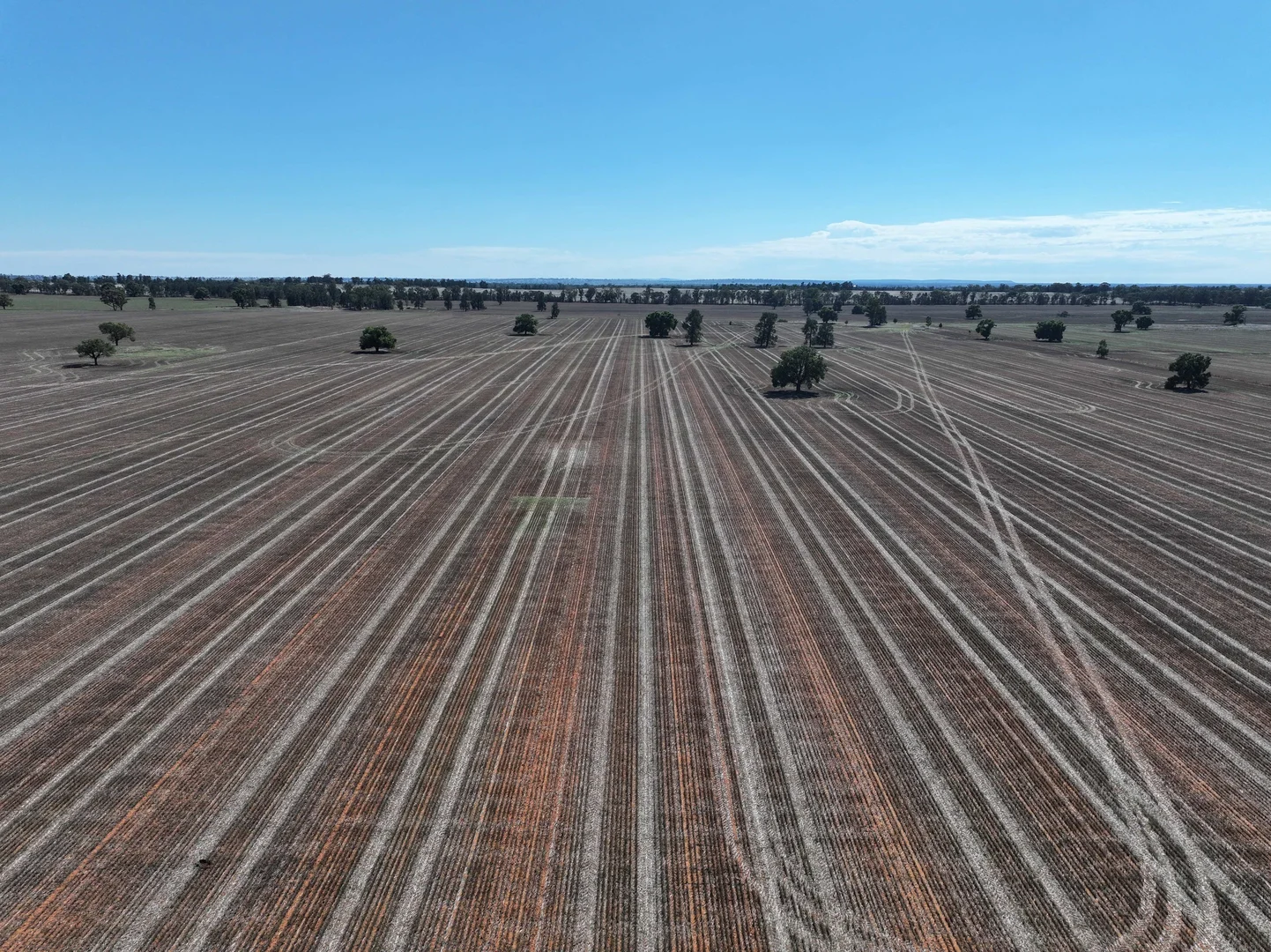 Additional image 6 of Shannonvale & Elmore Strontian Road, Boree Creek NSW 2652