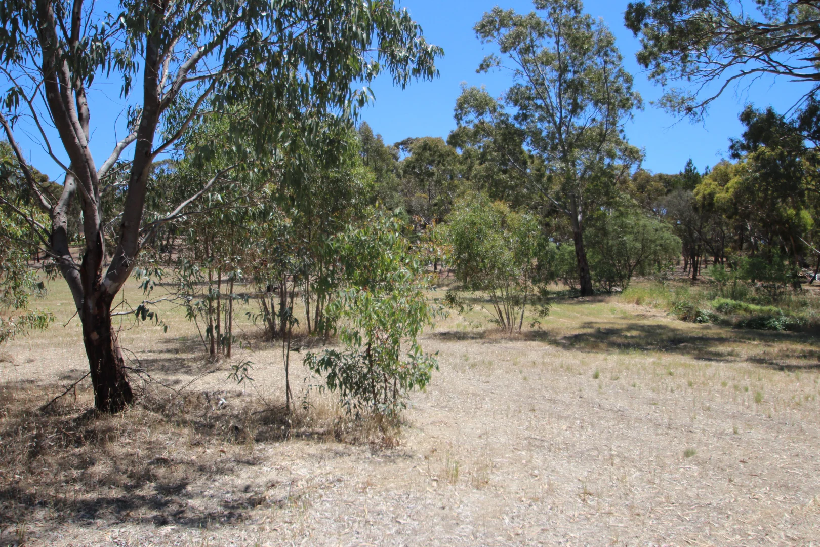 Additional image 12 of Lt 119/120 St Georges Terrace, Armagh SA 5453