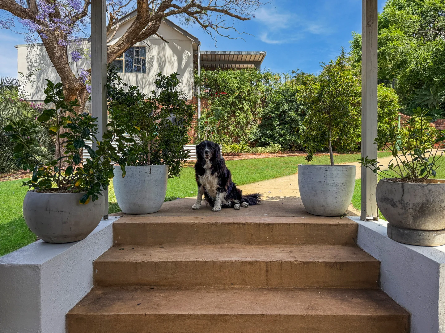 Additional image 23 of 12 Albert Street, Parkes NSW 2870