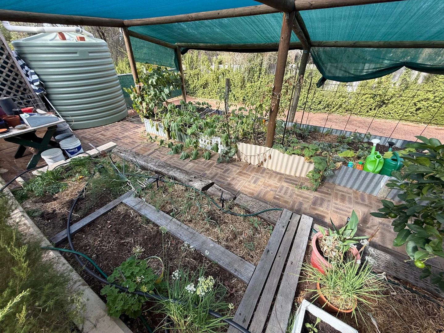 Additional image 28 of 51 Ford Street, York WA 6302