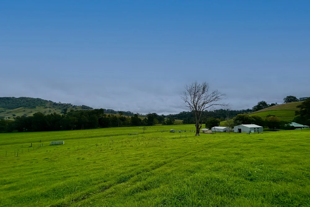 Additional image 3 of 1644 Paterson River Road, Lostock NSW 2311