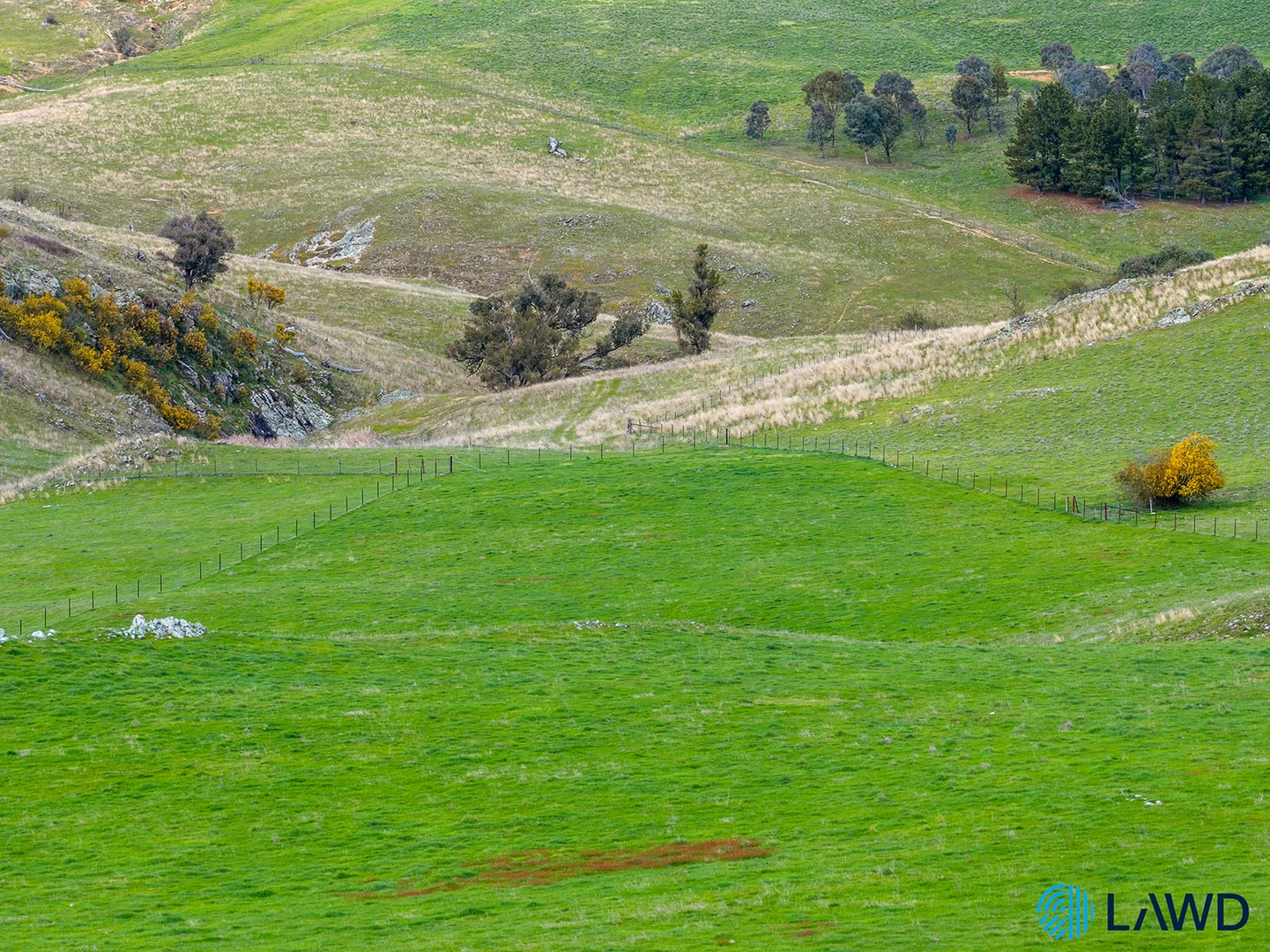 Additional image 6 of 1 Bimbiang Lane, Jeir NSW 2582