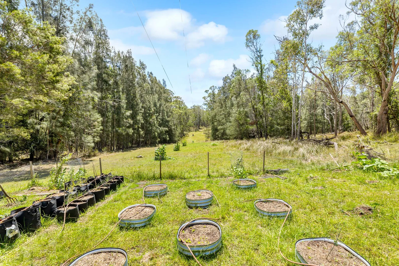 Additional image 5 of 204 Congo Road, Moruya NSW 2537