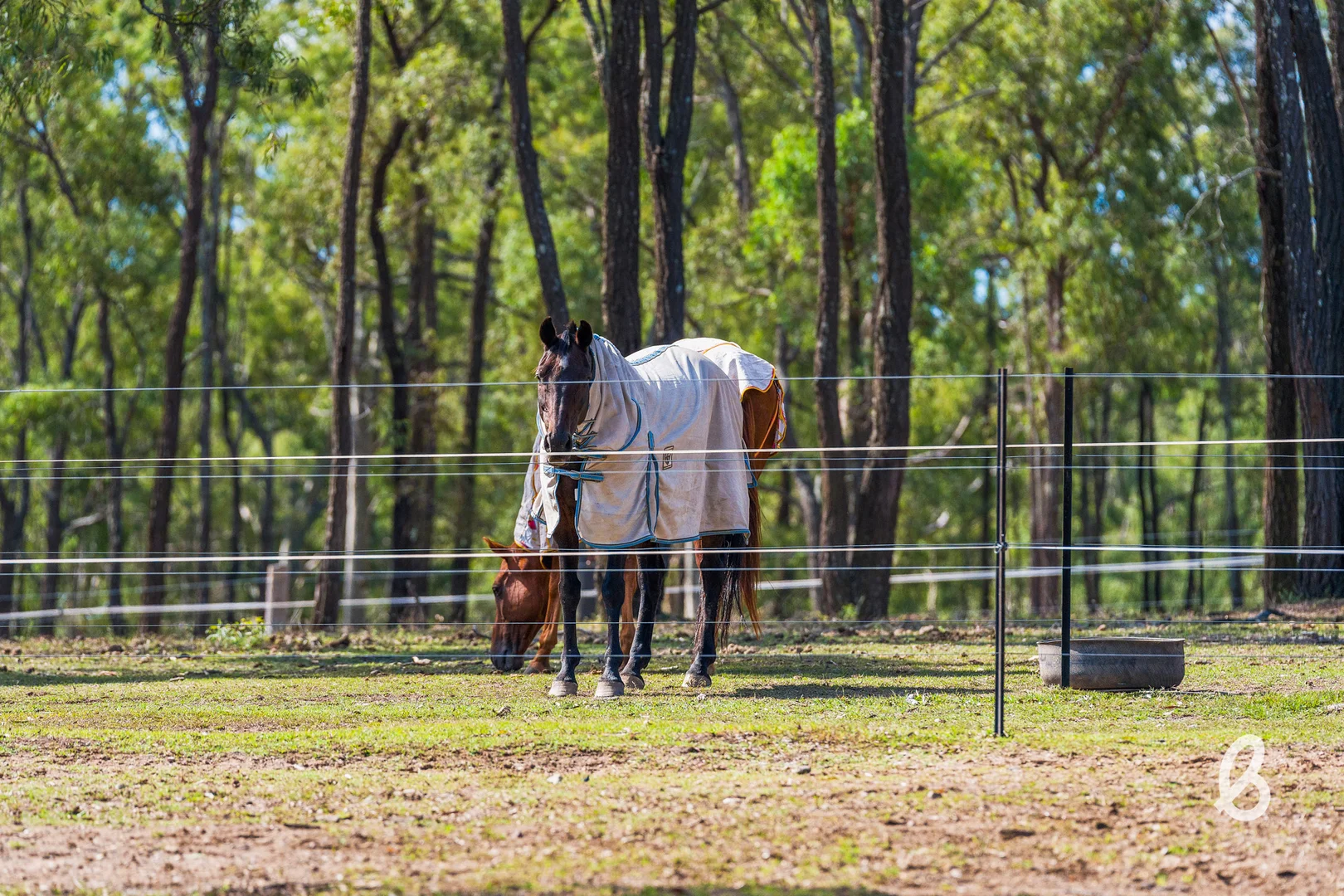 Additional image 37 of 241 Pioneer Road, Singleton NSW 2330