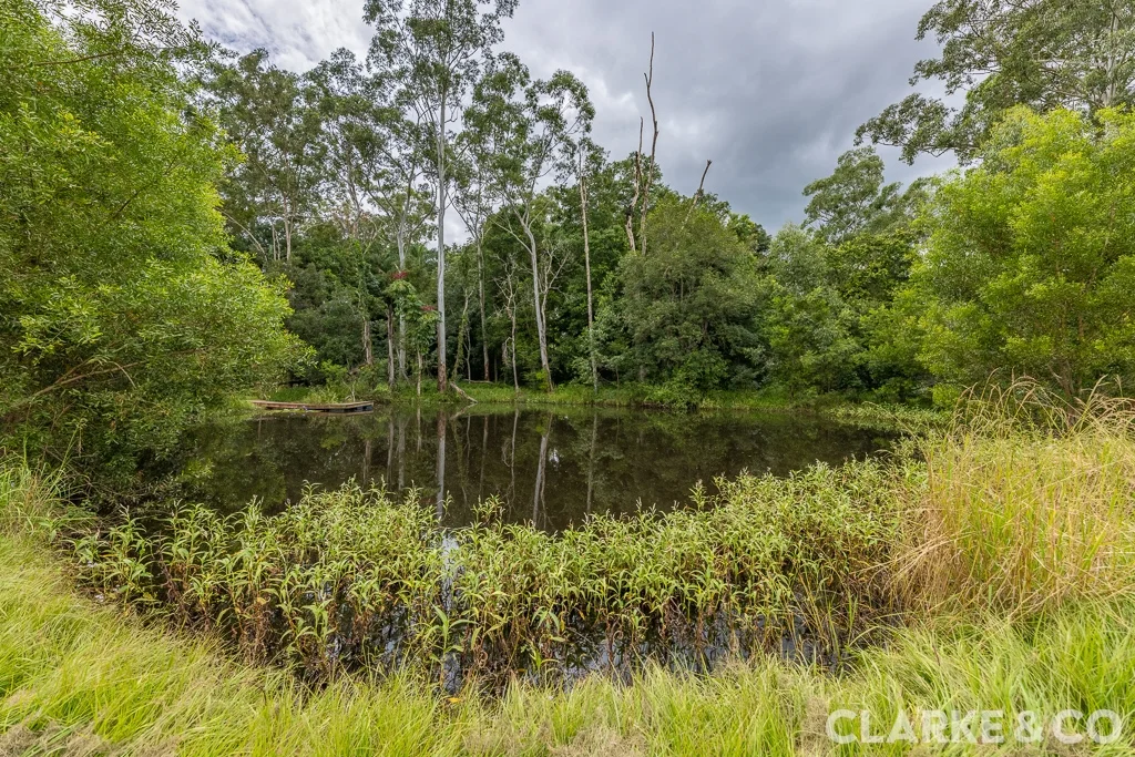 Additional image 22 of 32 Elsa Court, Peachester QLD 4519