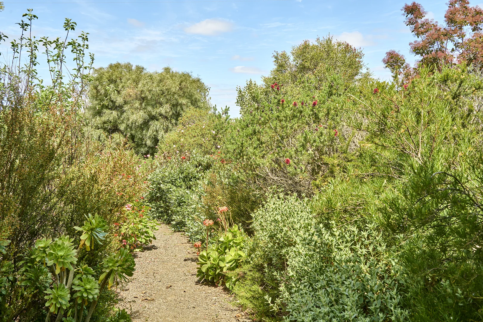 Additional image 28 of 211 Drummonds Lane, Heathcote VIC 3523