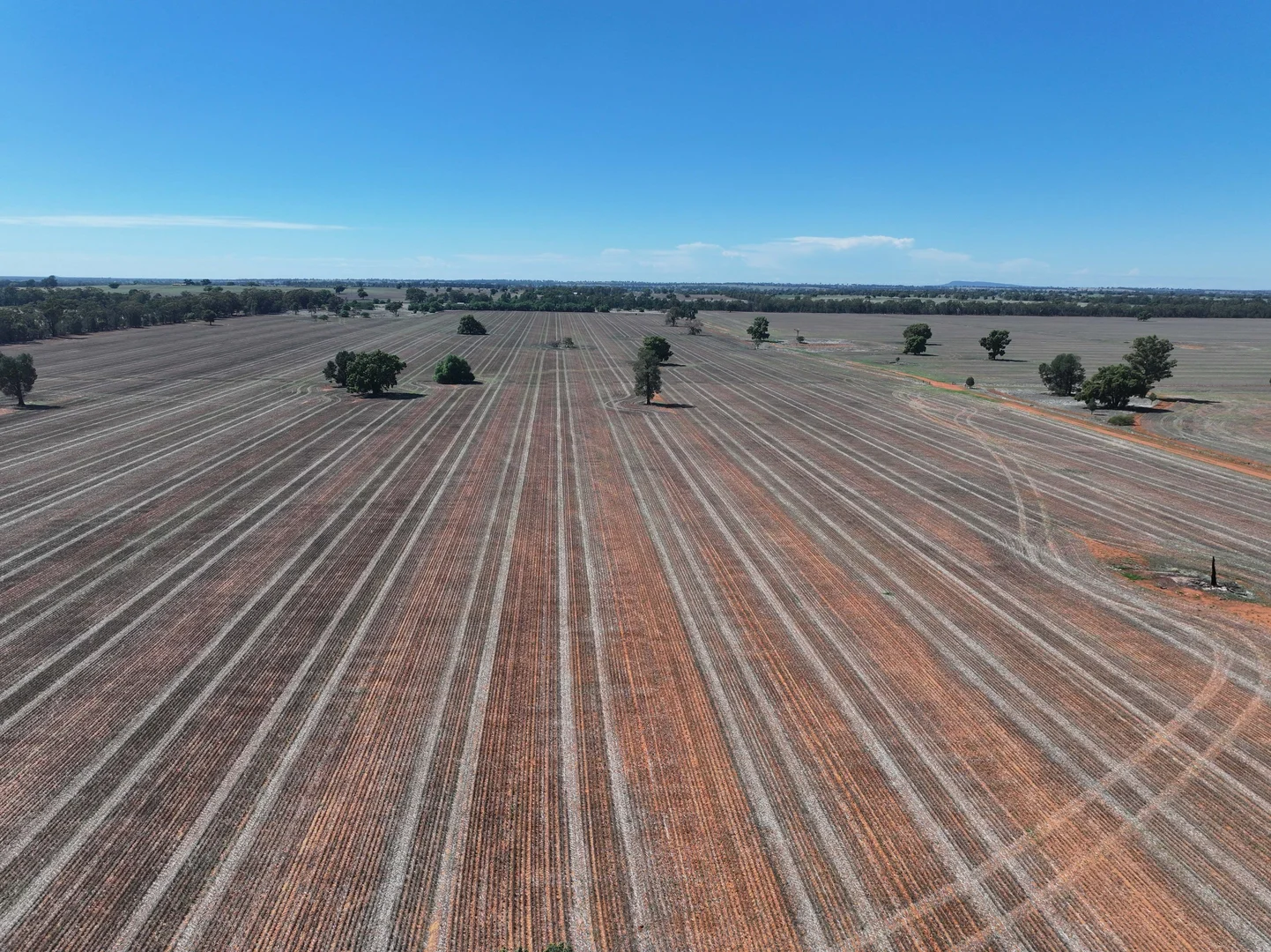 Additional image 8 of Shannonvale & Elmore Strontian Road, Boree Creek NSW 2652