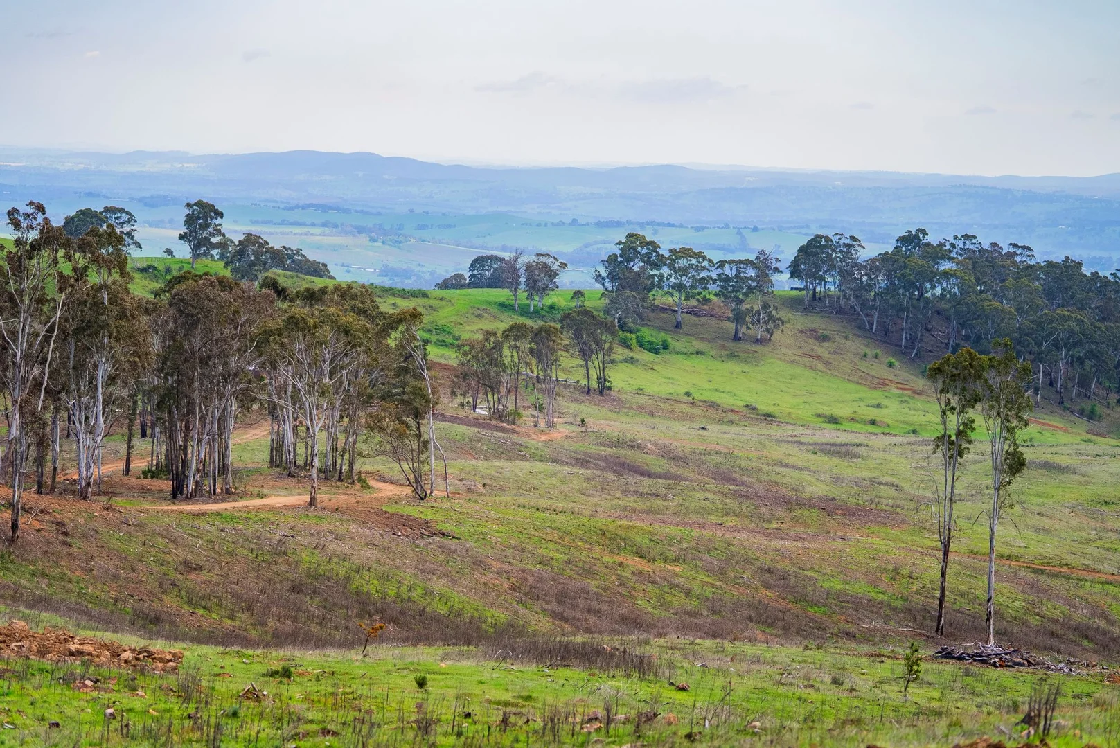 Additional image 13 of 1606 Mount Canobolas Road, Orange NSW, Orange NSW 2800