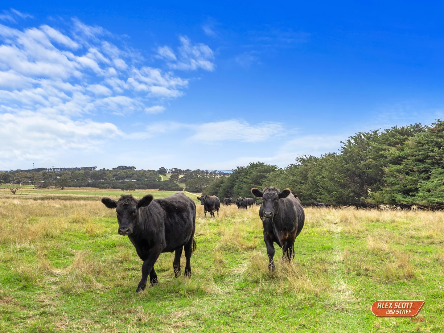 Additional image 16 of 1990 Phillip Island Road, Cowes VIC 3922