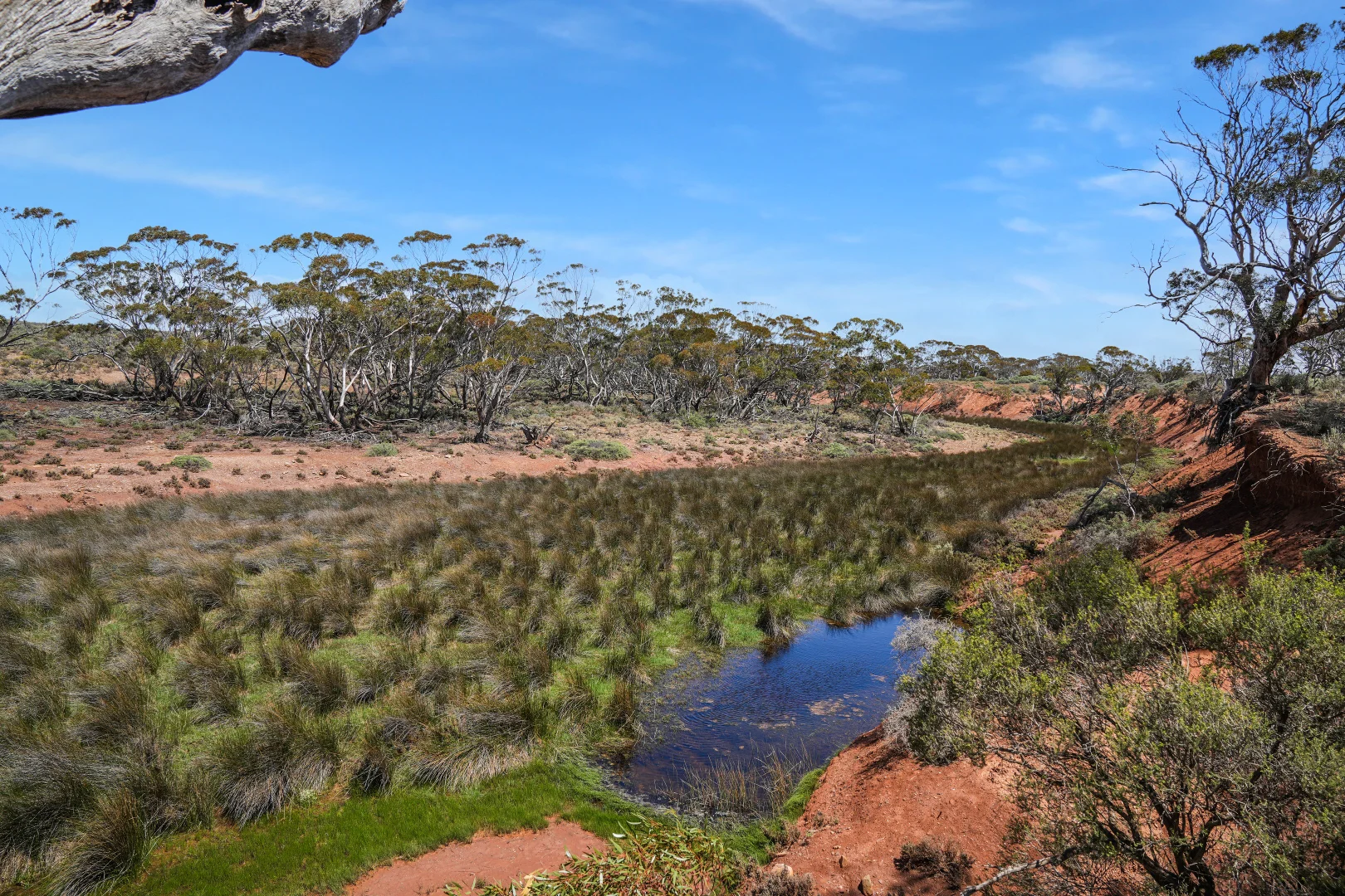 Additional image 23 of 304 Sutherlands Road, Sutherlands SA 5374