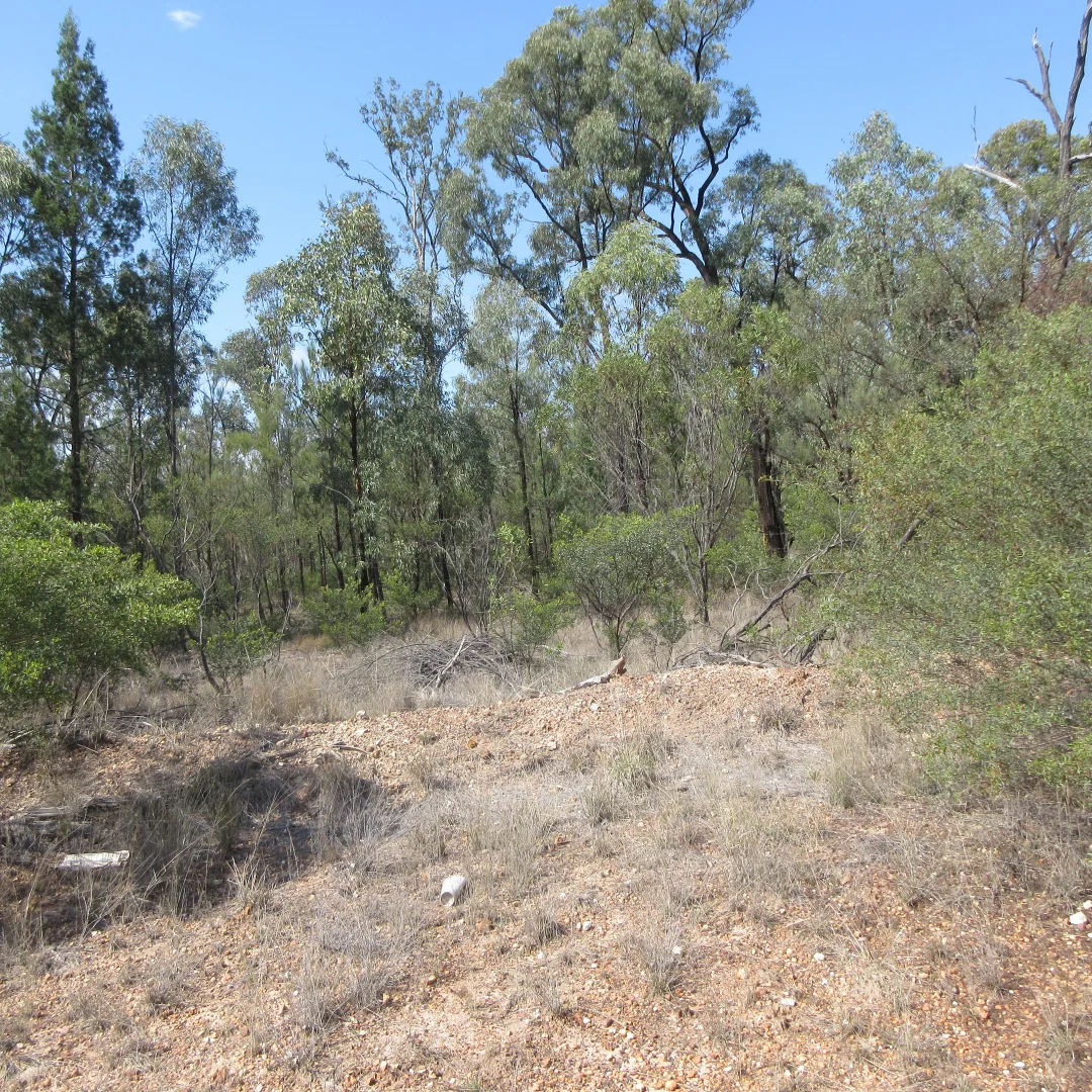 Additional image 3 of Lot 6 Cartens Lane, Tara QLD 4421