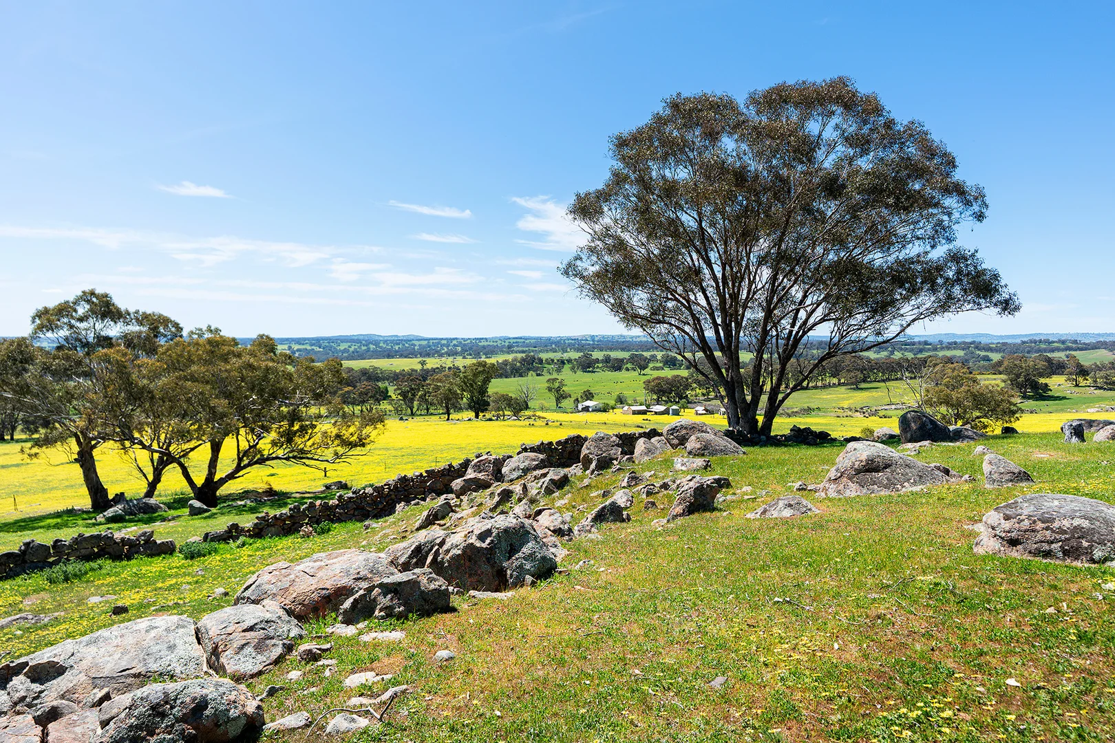Additional image 14 of 225 Nuggetty Road, Maldon VIC 3463