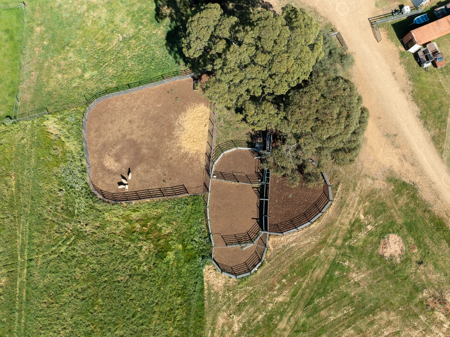 Additional image 18 of 'Wandella Park' 1097 Davys Plains Road via Cudal,, Orange NSW 2800