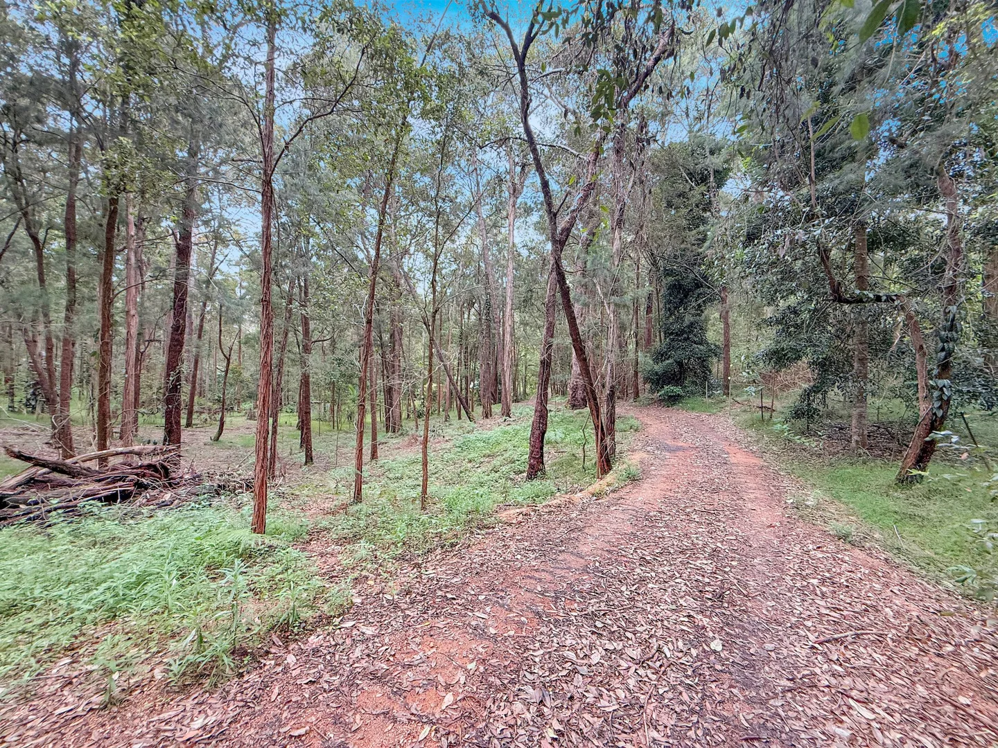 Additional image 15 of 4 DIELHOF DRIVE, Wondecla QLD 4887