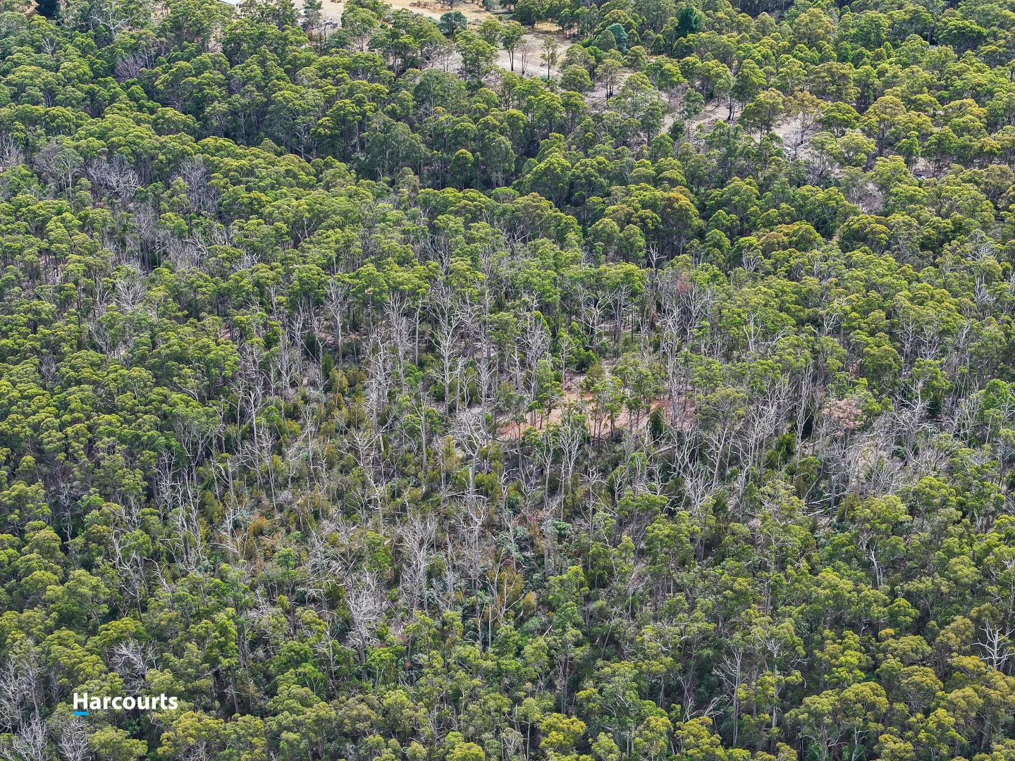 Additional image 14 of Lot 1 Slaters Road, Cradoc TAS 7109