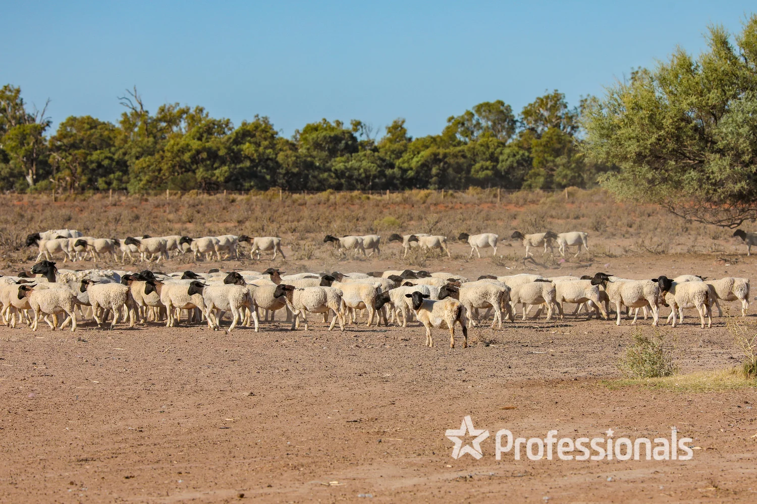 Additional image 17 of 179 Cowra Station Road, Wargan VIC 3505