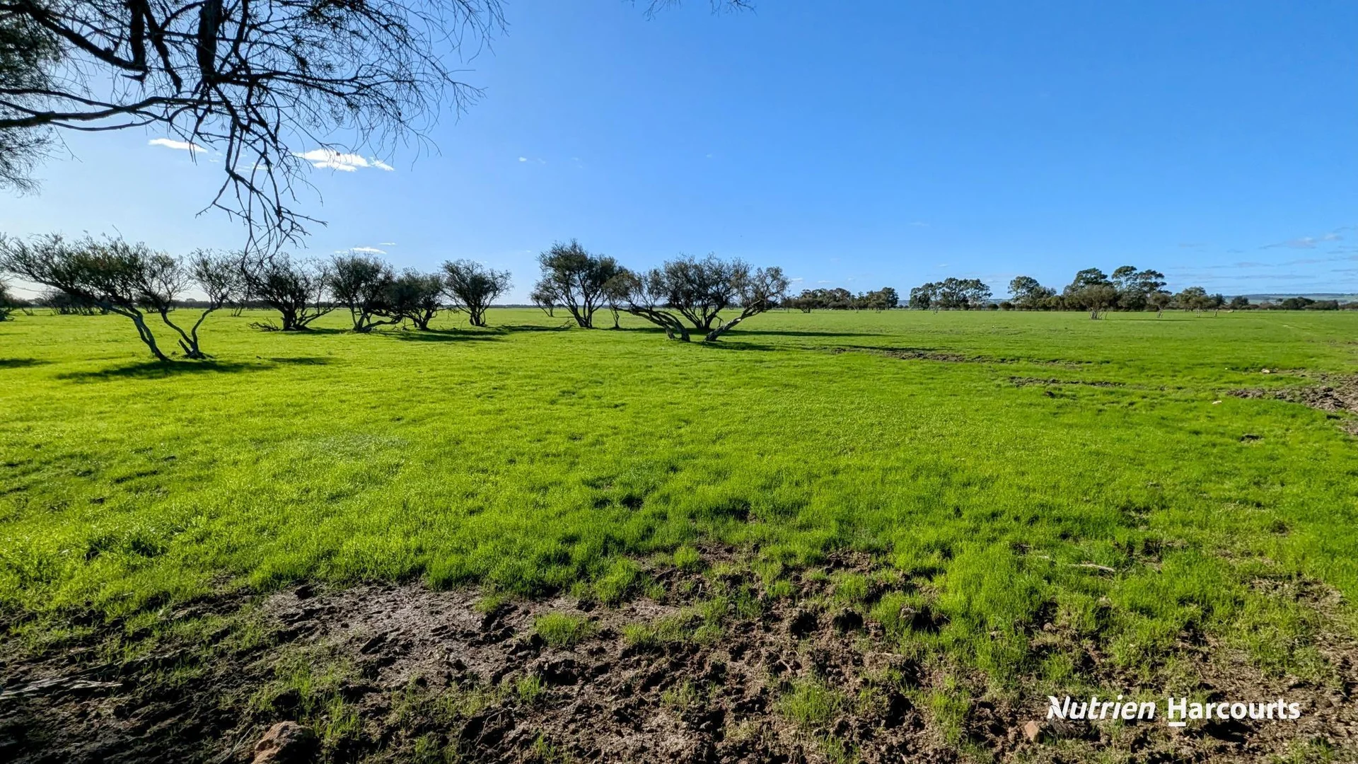 Additional image 41 of 271 Mayfield Road (Beermullah), Gingin WA 6503