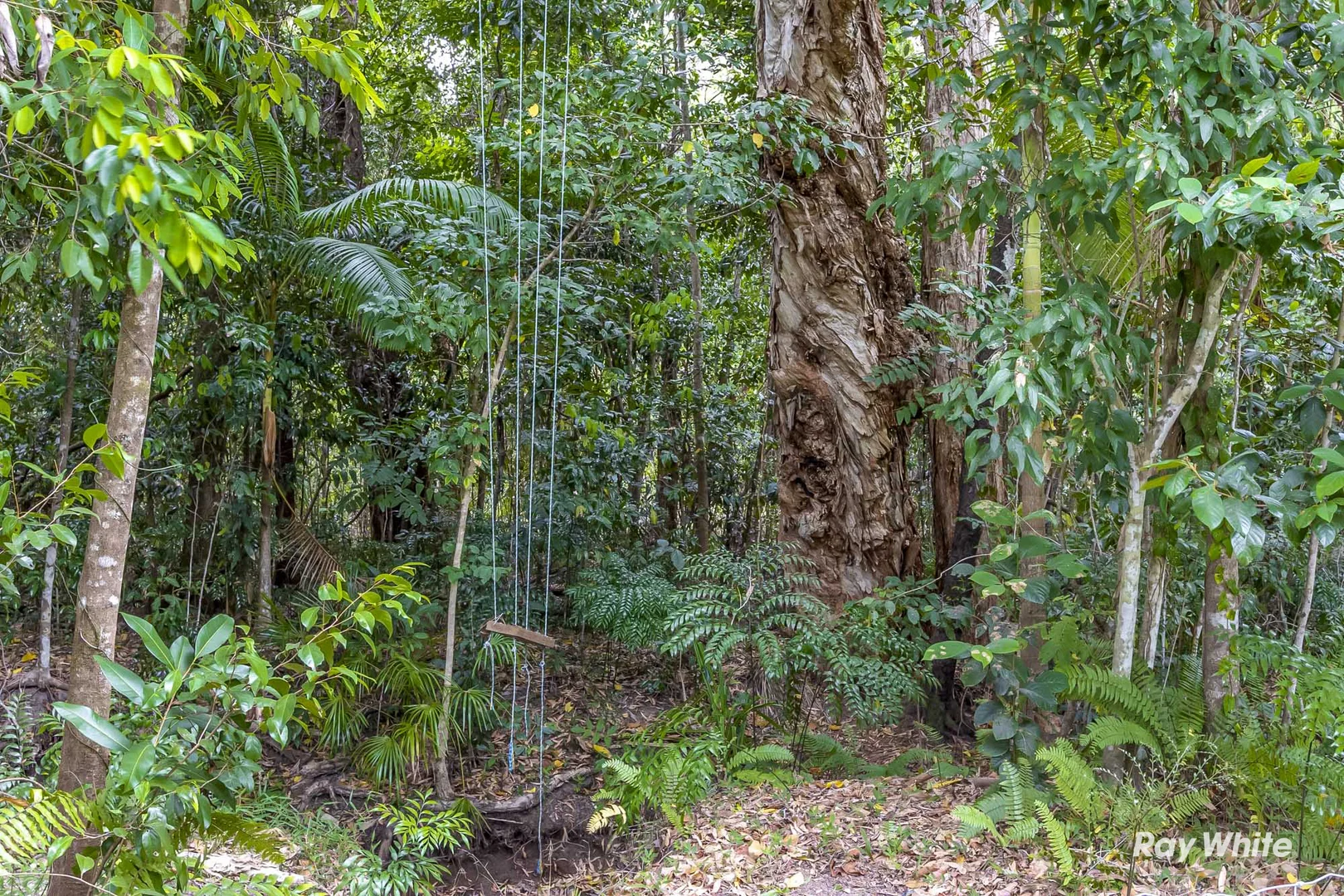 Additional image 20 of 2470 Byfield Road, Byfield QLD 4703