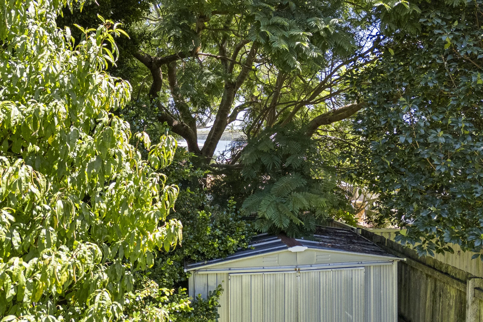 Additional image 13 of 11 Marmion Street, Mannering Park NSW 2259