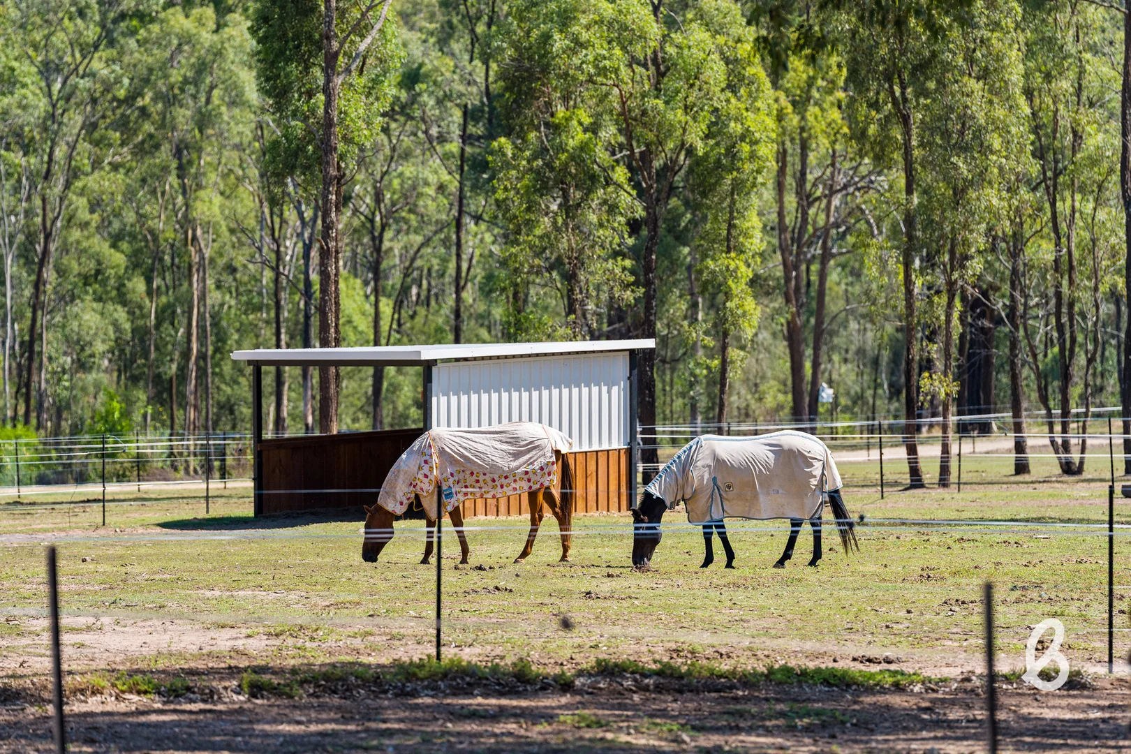 Additional image 7 of 241 Pioneer Road, Singleton NSW 2330