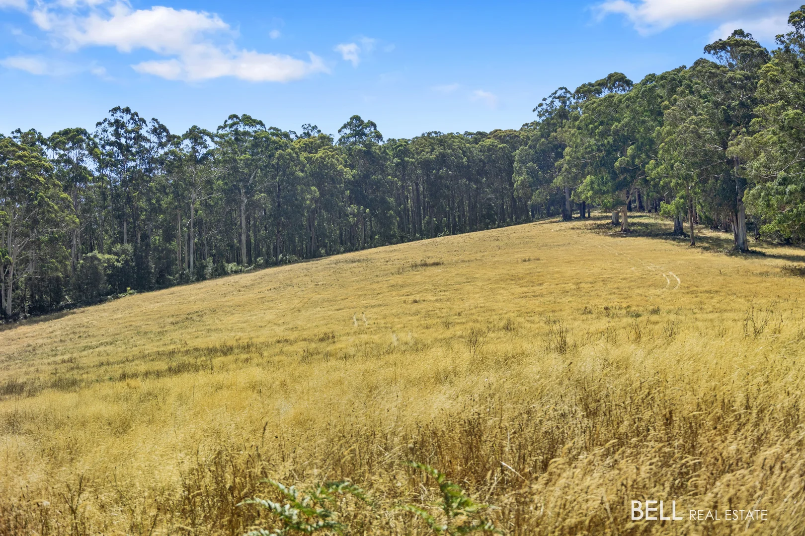 Additional image 11 of 1145 Little Yarra Road, Three Bridges VIC 3797