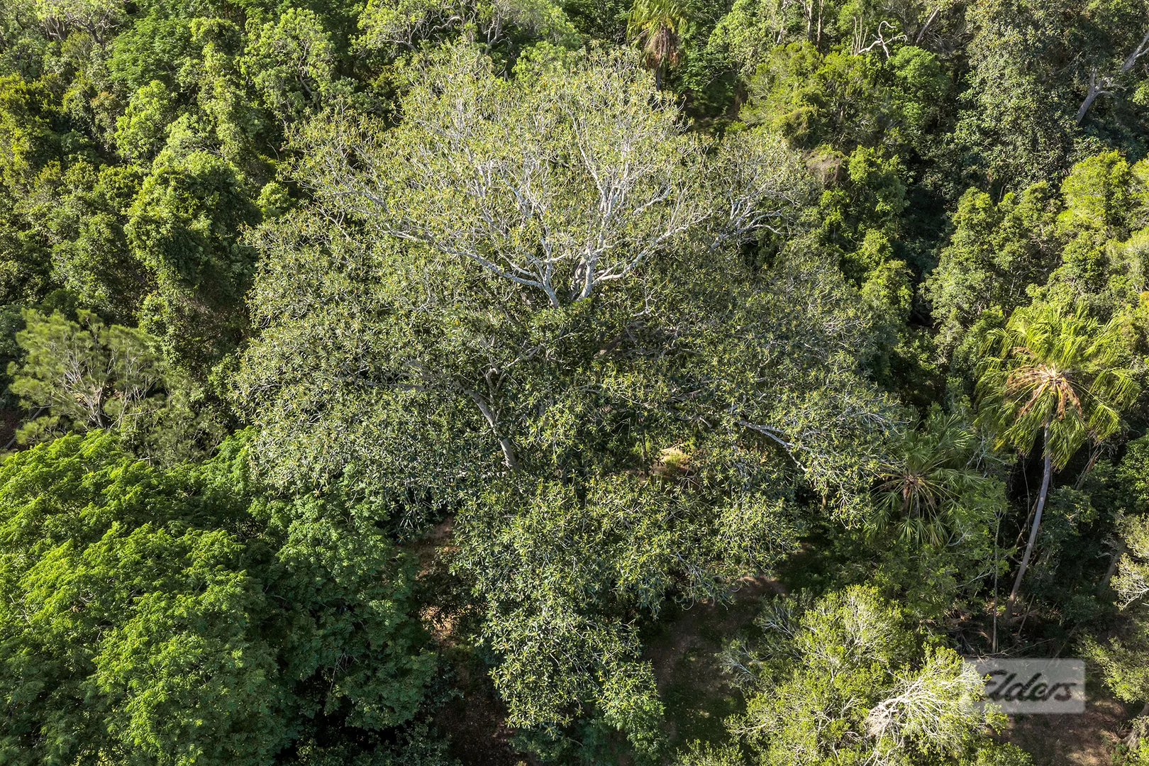 Additional image 16 of 4 Korenan Service Road, Lowmead QLD 4676