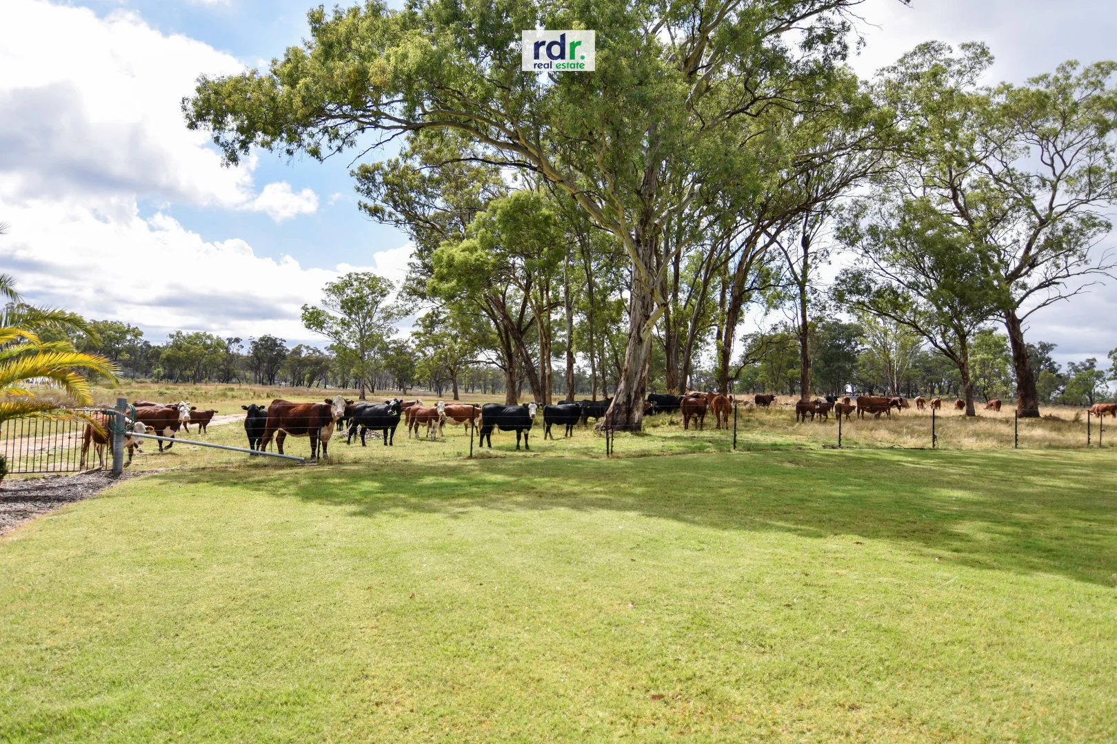 Additional image 4 of 14381 Guyra Rd, Inverell NSW 2360