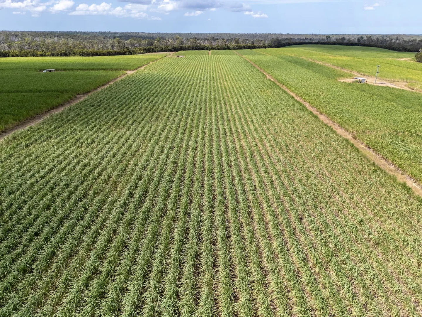 Additional image 2 of 3392 Childers Road, Gregory River QLD 4660