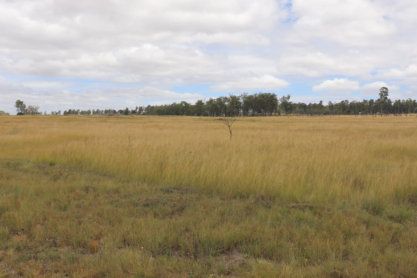 Additional image 7 of 225 Beils Road, Inverlaw QLD 4610