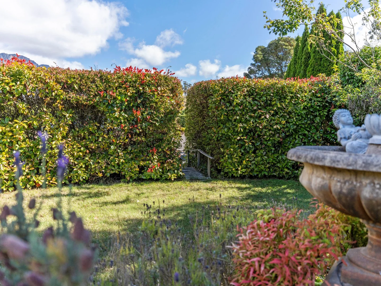 Additional image 41 of 495 Claude Road, Sheffield TAS 7306