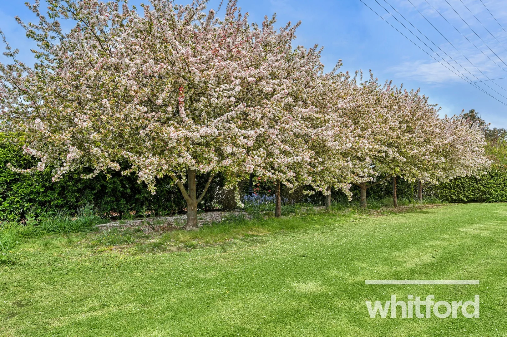 Additional image 22 of 16 Cannes Court, Highton VIC 3216