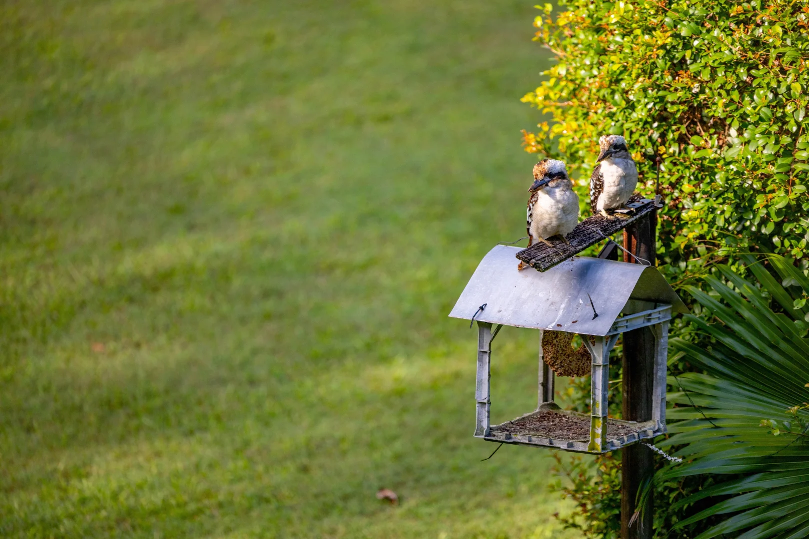 Additional image 25 of 112-114 Blackall Range Road, Woombye QLD 4559