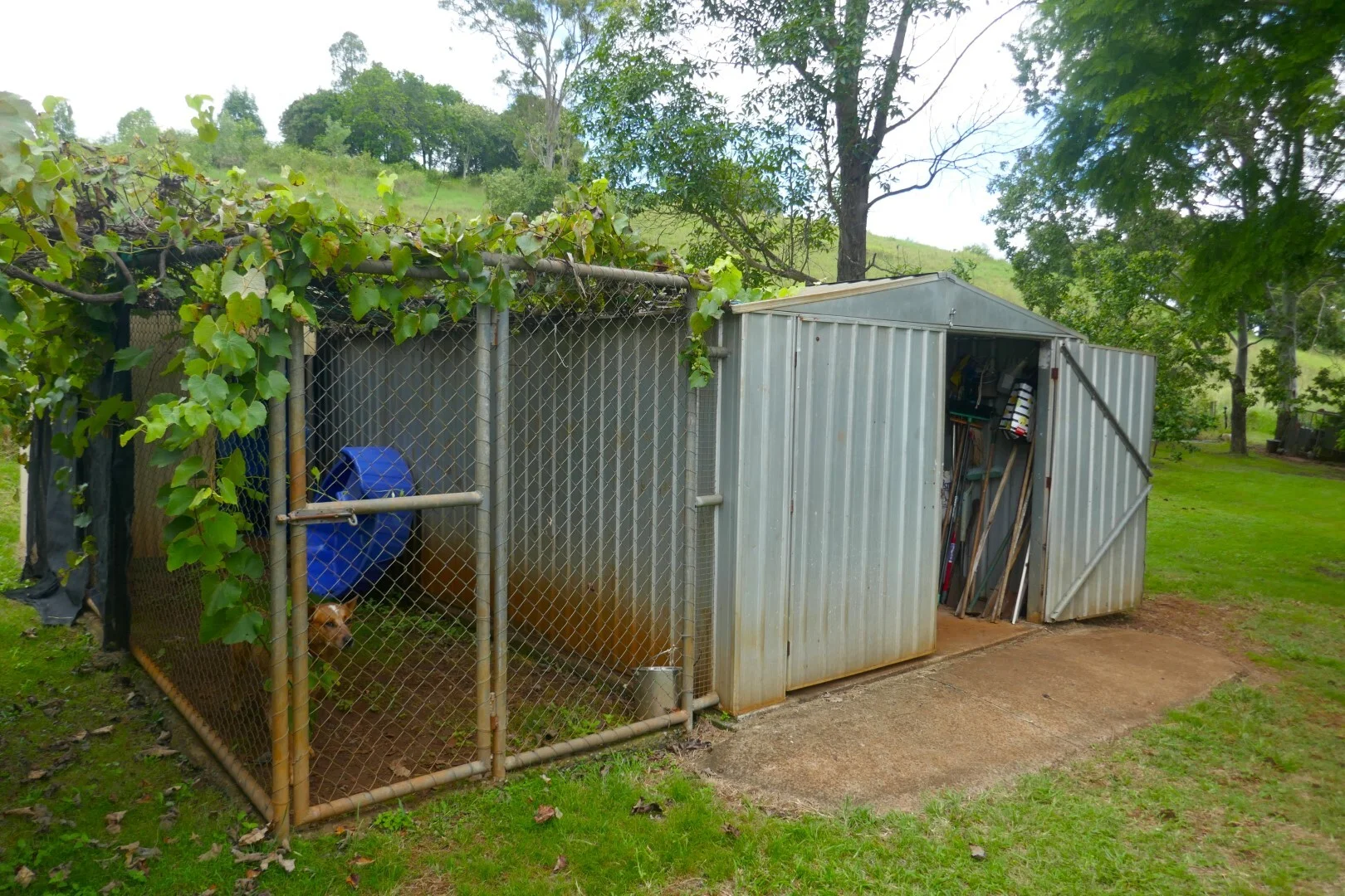 Additional image 32 of 495 Upper Stratheden Road, Kyogle NSW 2474