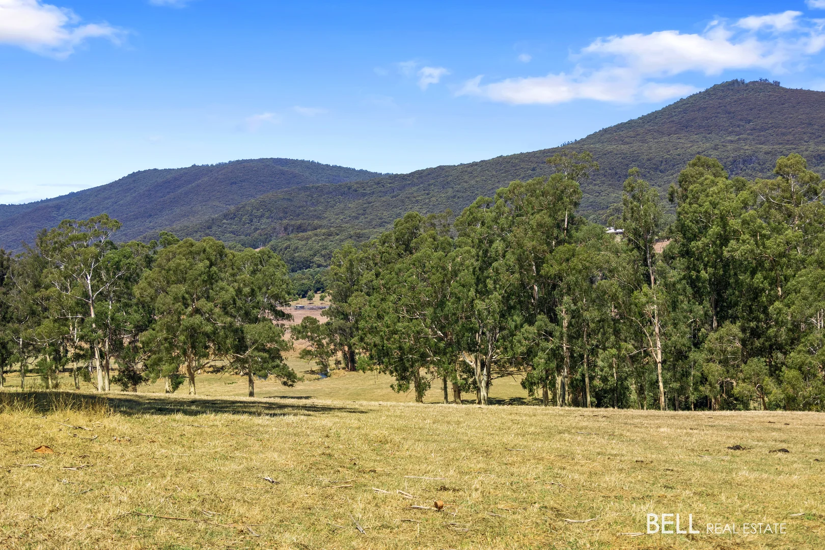 Additional image 9 of 1145 Little Yarra Road, Three Bridges VIC 3797