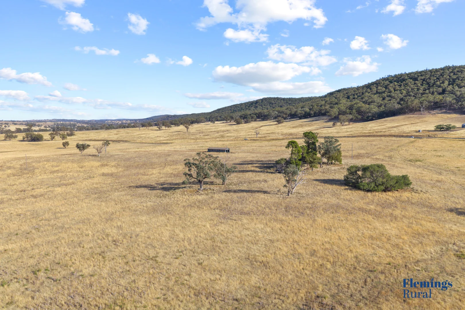 Additional image 12 of 145 Cusack Road, Boorowa NSW 2586