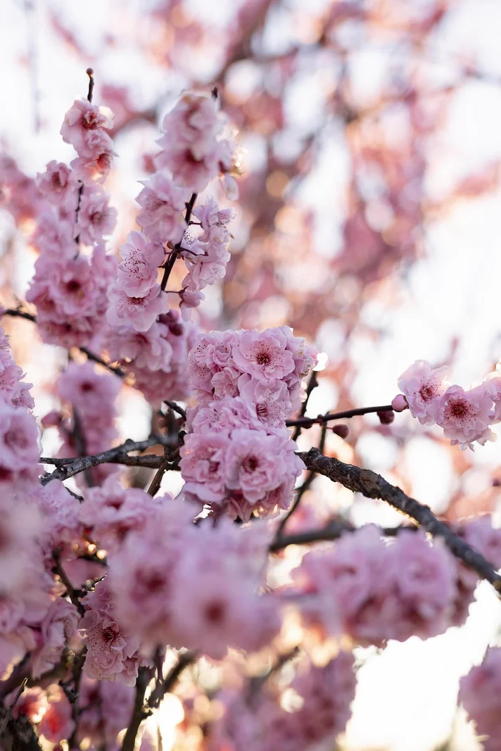 Additional image 24 of 81 Lettes Bay Road, Strahan TAS 7468