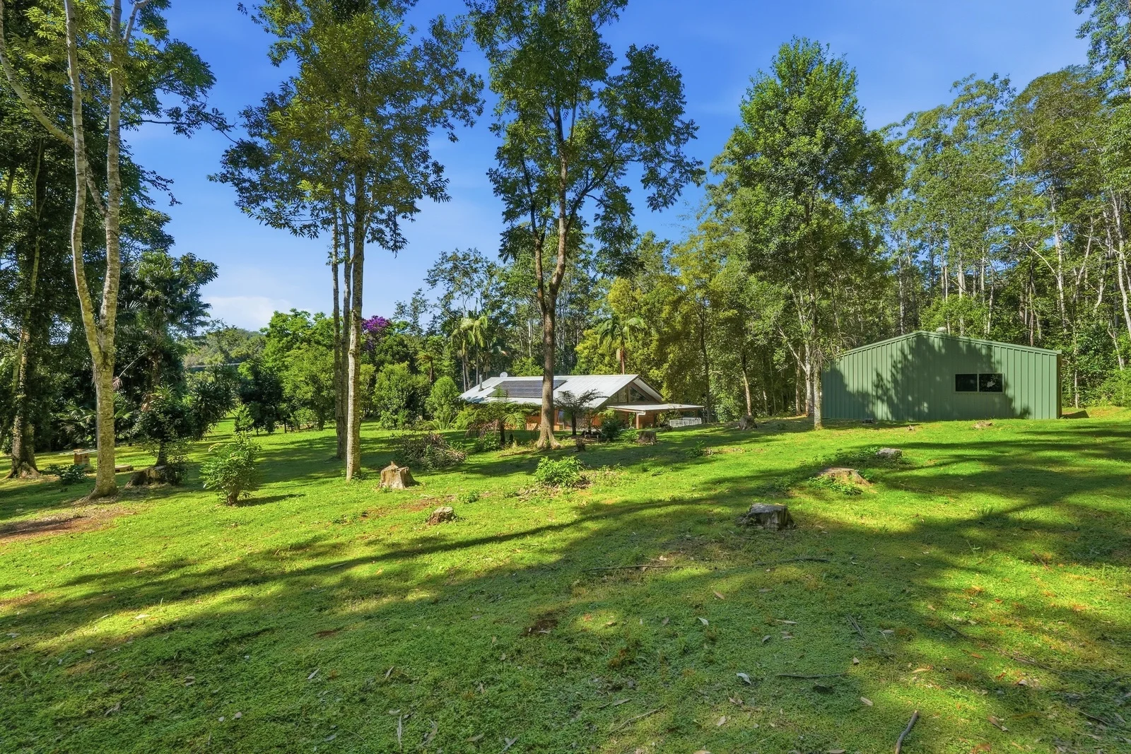Additional image 22 of 606 Darkwood Road, Bellingen NSW 2454