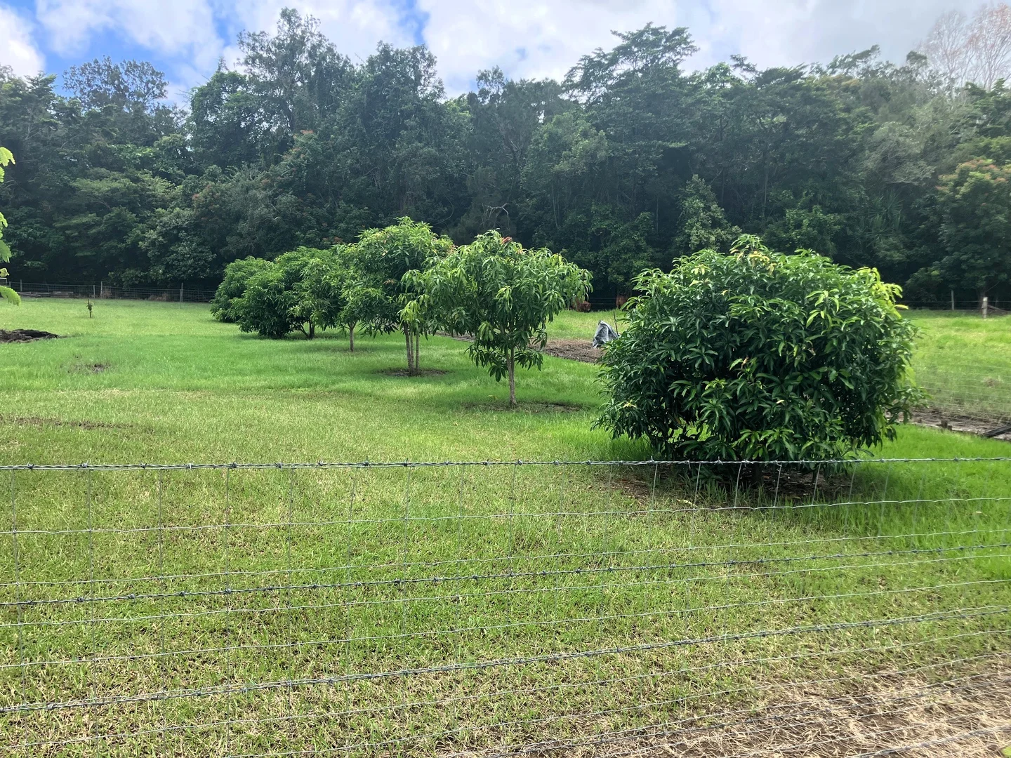 Additional image 17 of 24 Paskins Road, Yalboroo QLD 4741