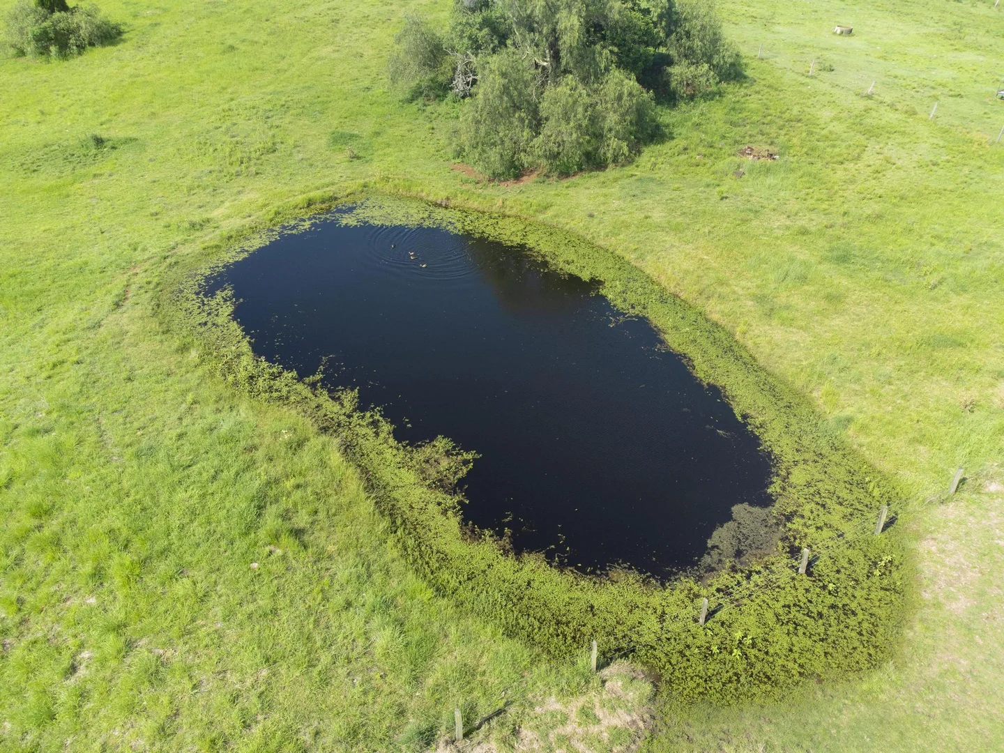 Additional image 20 of 219 Stanfield Rd, Teviotville QLD 4309