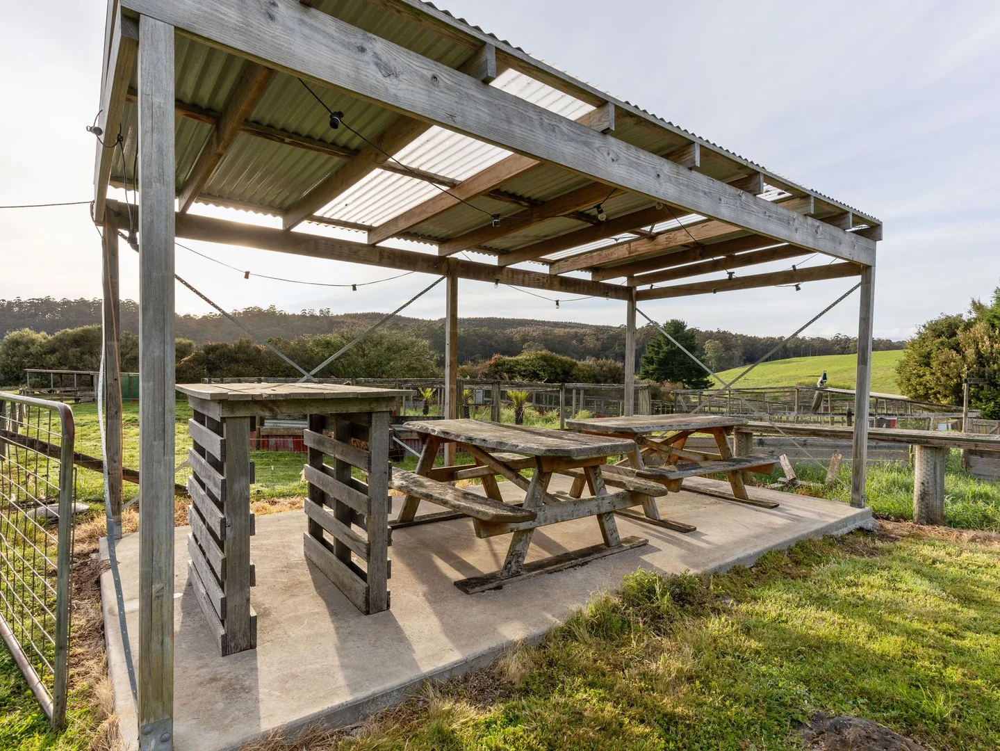 Additional image 38 of 309 West Ridgley Road, West Ridgley TAS 7321