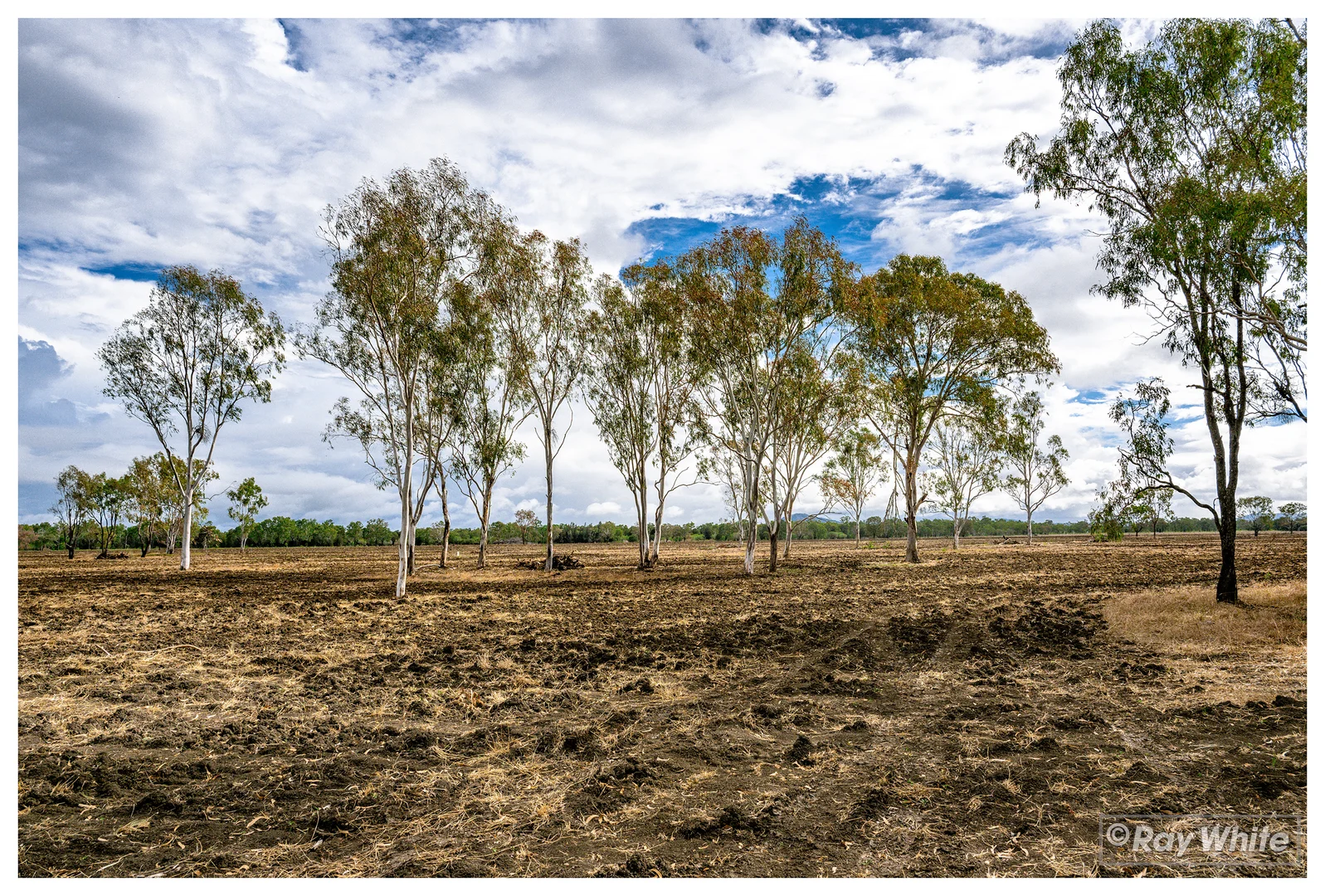 Additional image 22 of 253 Hunt Road, Alton Downs QLD 4702