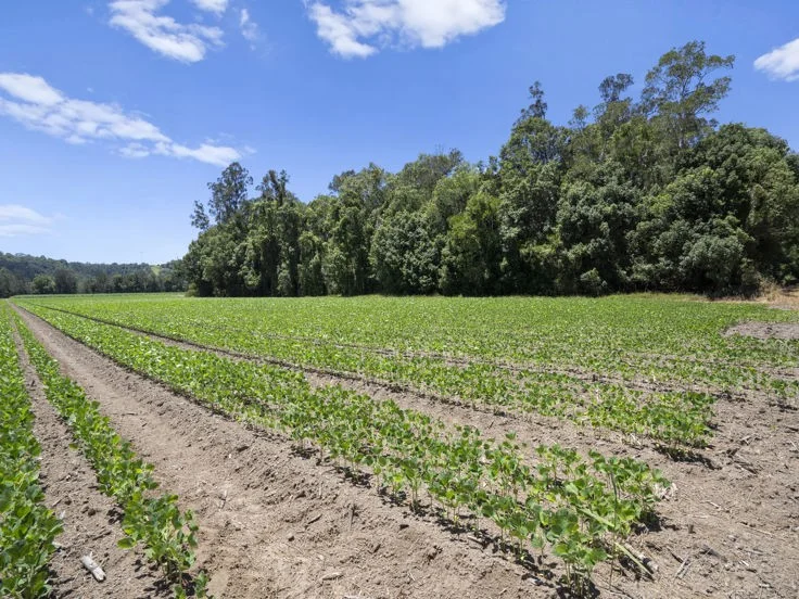 Additional image 17 of McAuleys Road, Murwillumbah NSW 2484