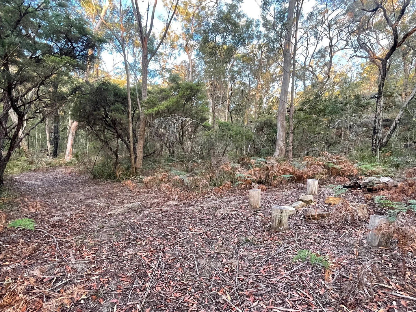 Additional image 15 of South Maroota NSW 2756