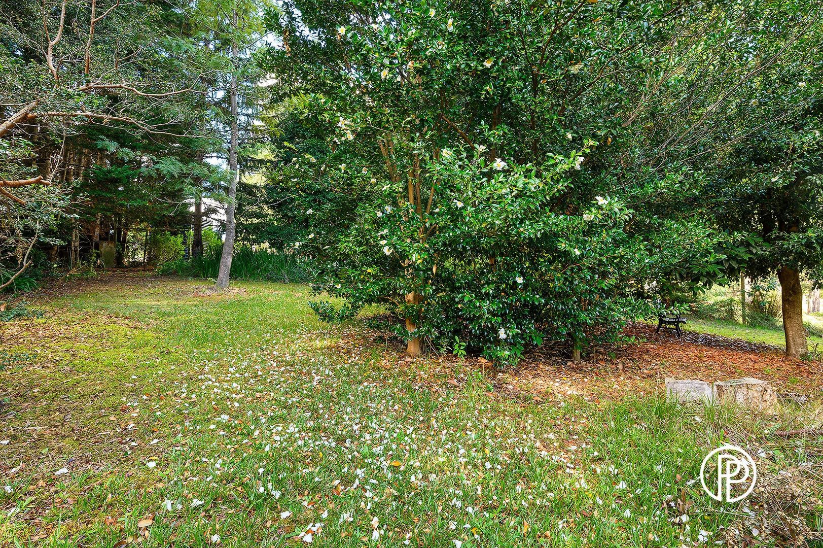 Additional image 7 of 40 Prices Road, Millgrove VIC 3799