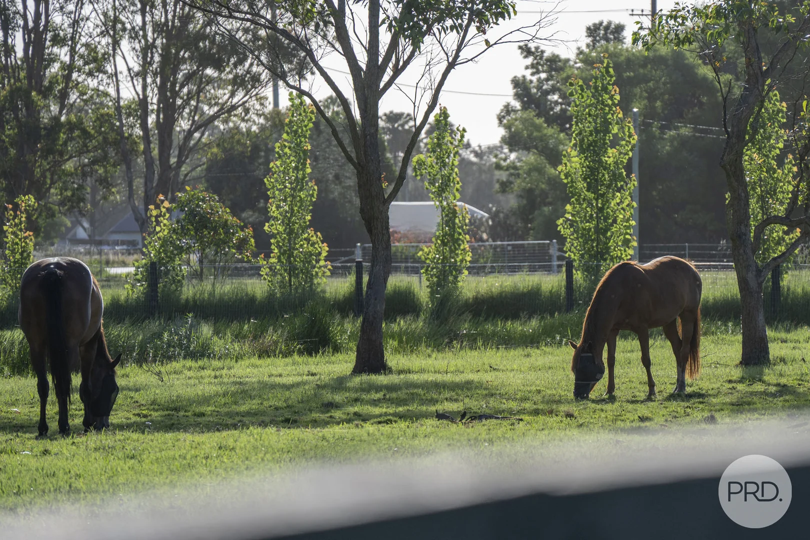 Additional image 20 of 1 Cromarty Lane, Bobs Farm NSW 2316