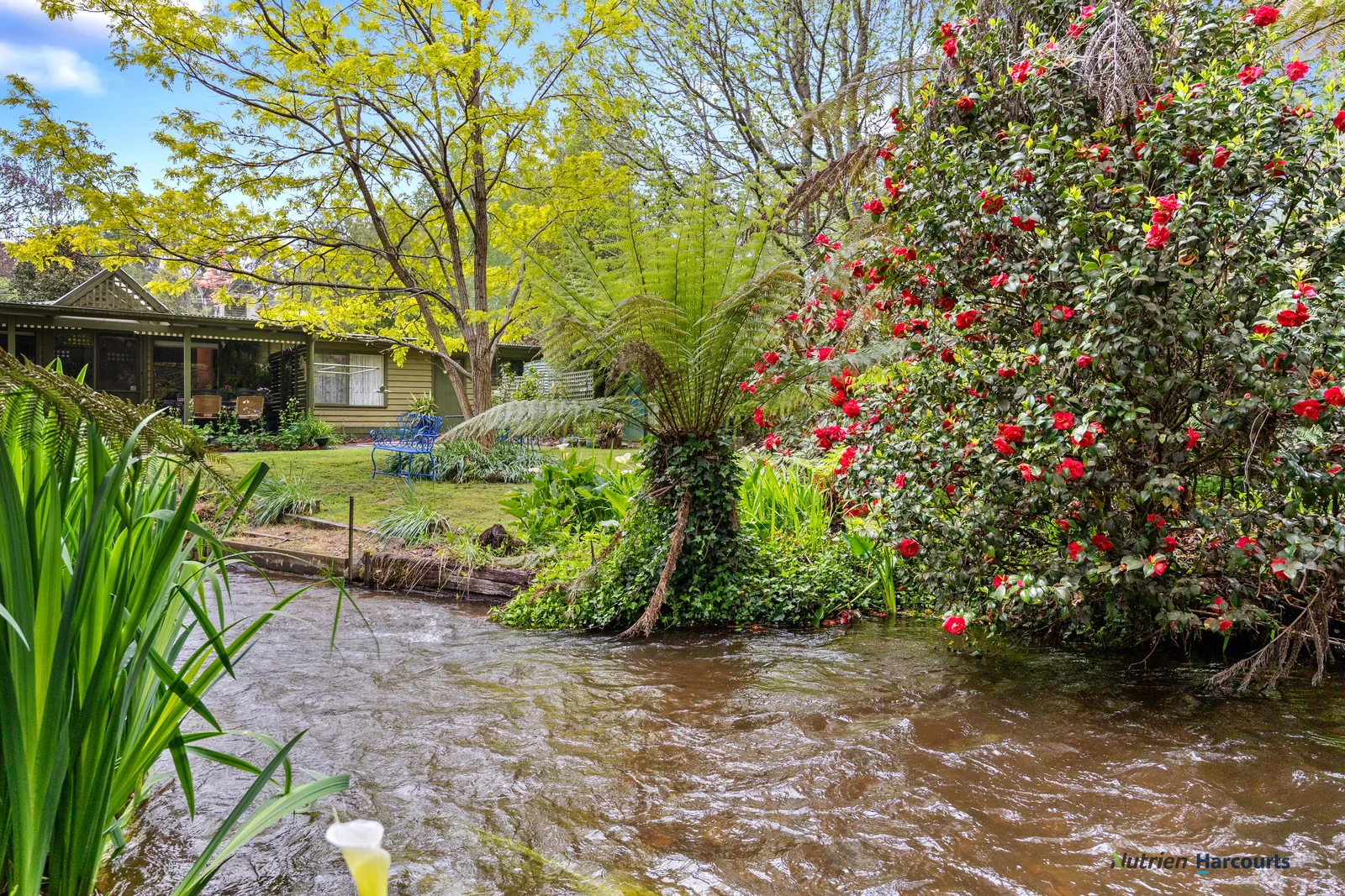 Additional image 21 of 47 Mareeba Avenue, Buxton VIC 3711